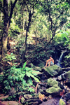 Instagram (2014)