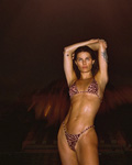 Bikini Lovers (-2025) Bikini Lovers (-2025)