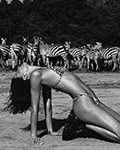 Bikini Lovers (-2025) Bikini Lovers (-2025)