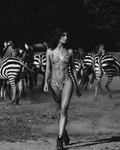 Bikini Lovers (-2025) Bikini Lovers (-2025)