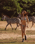 Bikini Lovers (-2025) Bikini Lovers (-2025)
